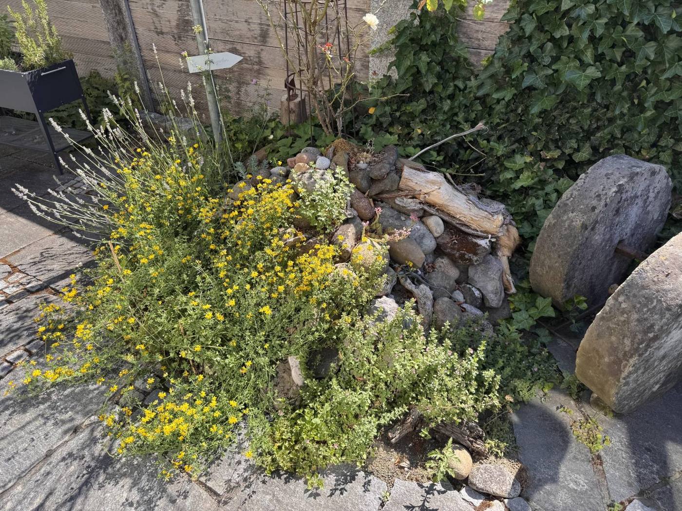 Steinhaufen für Amphibien, Reptilien und Insekten im Naturgarten