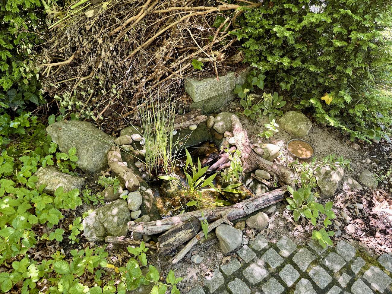 Mini-Teich mit Steinen, Totholz und Bepflanzung im Naturgarten